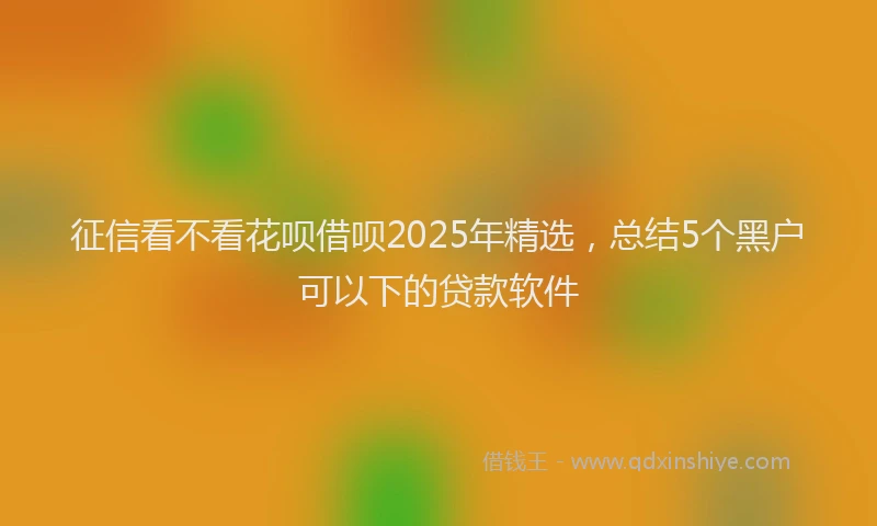 征信看不看花呗借呗2025年精选，总结5个黑户可以下的贷款软件