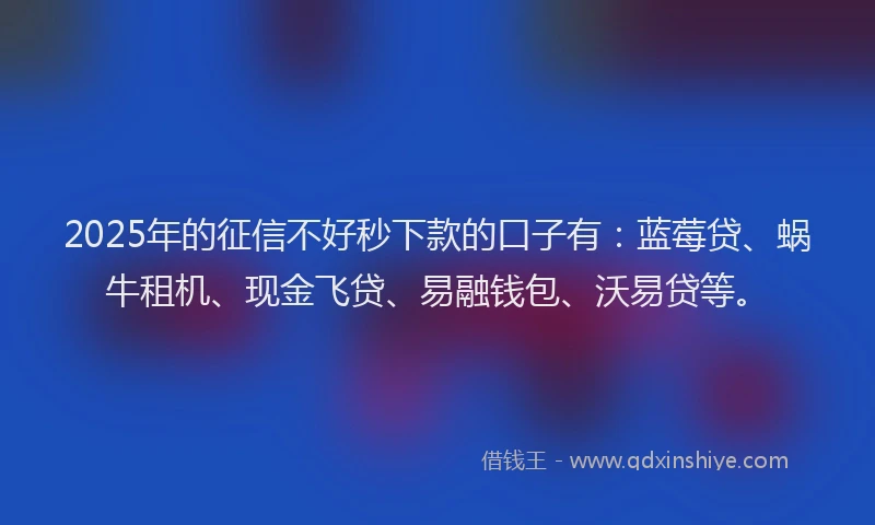 2025年的征信不好秒下款的口子有：蓝莓贷、蜗牛租机、现金飞贷、易融钱包、沃易贷等。