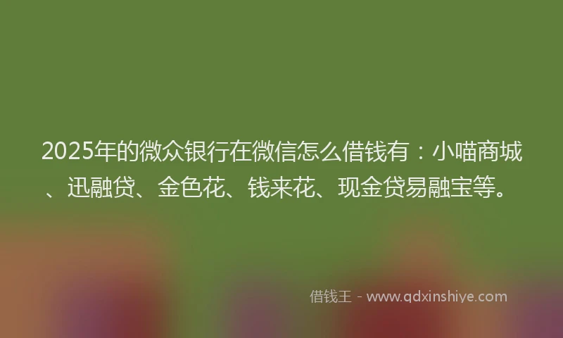 2025年的微众银行在微信怎么借钱有：小喵商城、迅融贷、金色花、钱来花、现金贷易融宝等。
