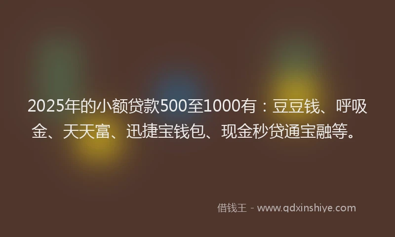 2025年的小额贷款500至1000有：豆豆钱、呼吸金、天天富、迅捷宝钱包、现金秒贷通宝融等。