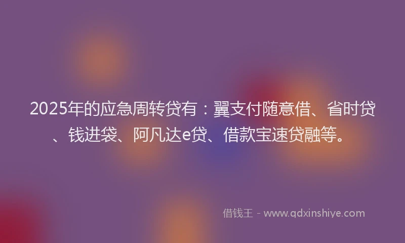 2025年的应急周转贷有：翼支付随意借、省时贷、钱进袋、阿凡达e贷、借款宝速贷融等。
