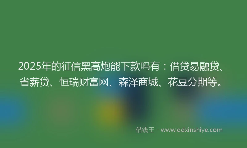 2025年的征信黑高炮能下款吗有：借贷易融贷、省薪贷、恒瑞财富网、森泽商城、花豆分期等。