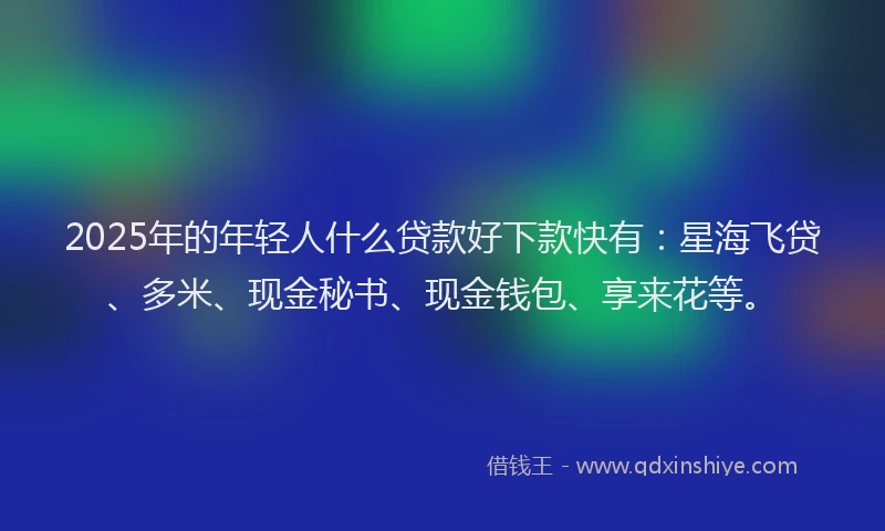 2025年的年轻人什么贷款好下款快有：星海飞贷、多米、现金秘书、现金钱包、享来花等。