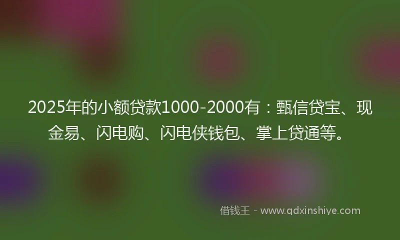 2025年的小额贷款1000-2000有：甄信贷宝、现金易、闪电购、闪电侠钱包、掌上贷通等。