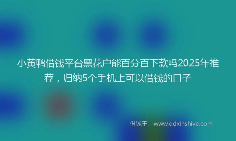 小黄鸭借钱平台黑花户能百分百下款吗2025年推荐，归纳5个手机上可以借钱的口子