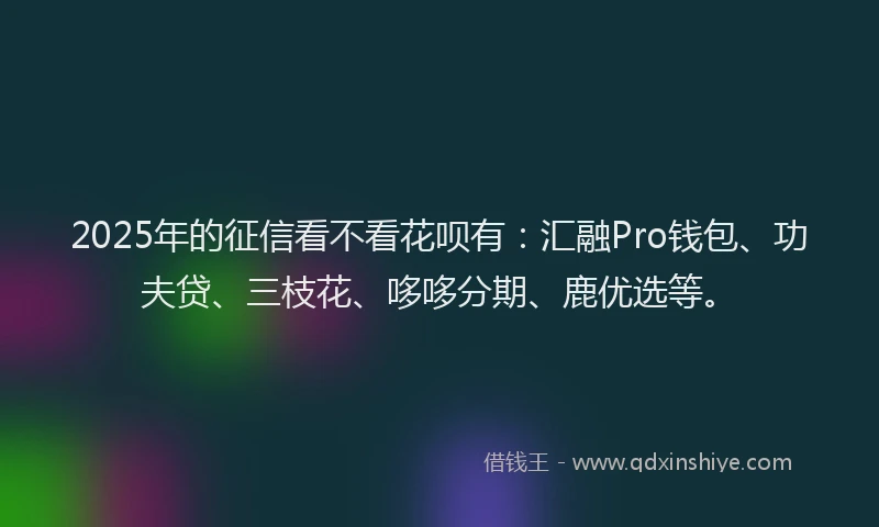 2025年的征信看不看花呗有：汇融Pro钱包、功夫贷、三枝花、哆哆分期、鹿优选等。