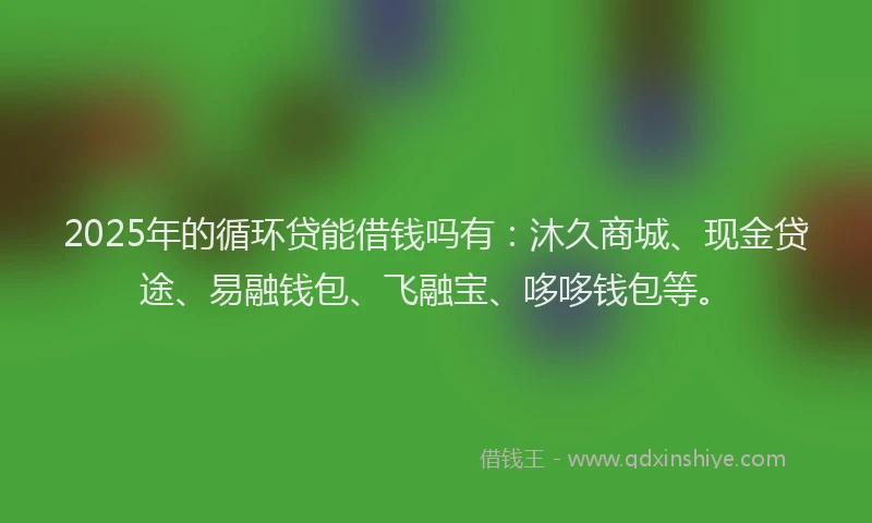 2025年的循环贷能借钱吗有：沐久商城、现金贷途、易融钱包、飞融宝、哆哆钱包等。
