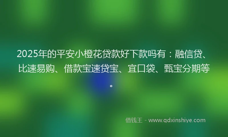 2025年的平安小橙花贷款好下款吗有：融信贷、比速易购、借款宝速贷宝、宜口袋、甄宝分期等。