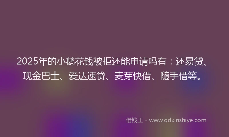 2025年的小鹅花钱被拒还能申请吗有：还易贷、现金巴士、爱达速贷、麦芽快借、随手借等。