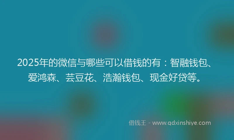 2025年的微信与哪些可以借钱的有：智融钱包、爱鸿森、芸豆花、浩瀚钱包、现金好贷等。