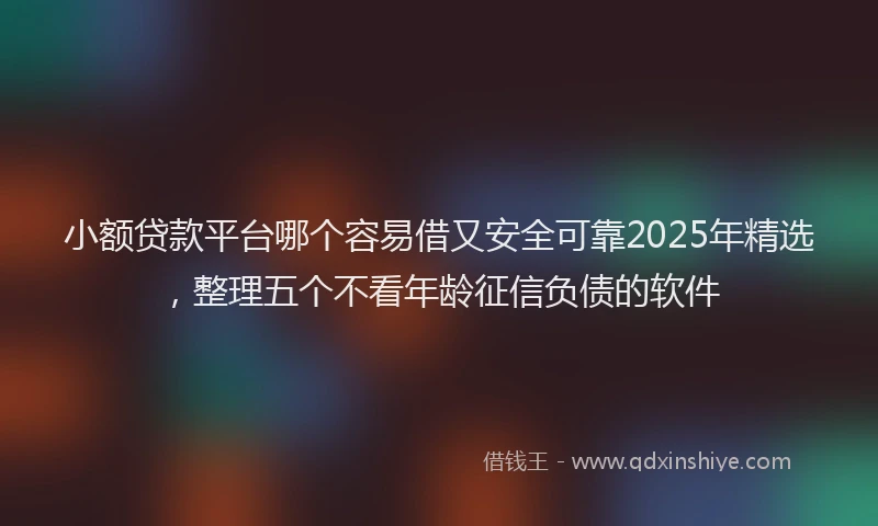 小额贷款平台哪个容易借又安全可靠2025年精选，整理五个不看年龄征信负债的软件