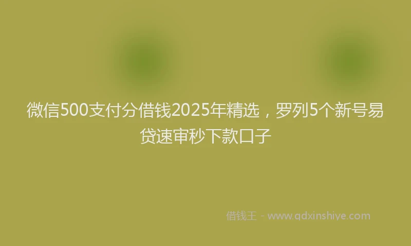 微信500支付分借钱2025年精选，罗列5个新号易贷速审秒下款口子