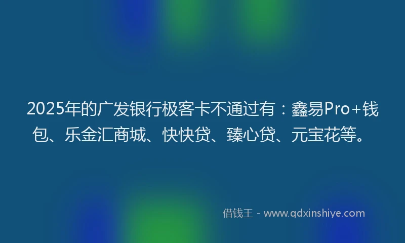 2025年的广发银行极客卡不通过有：鑫易Pro+钱包、乐金汇商城、快快贷、臻心贷、元宝花等。