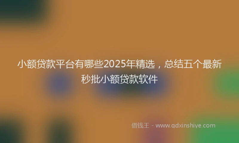小额贷款平台有哪些2025年精选，总结五个最新秒批小额贷款软件
