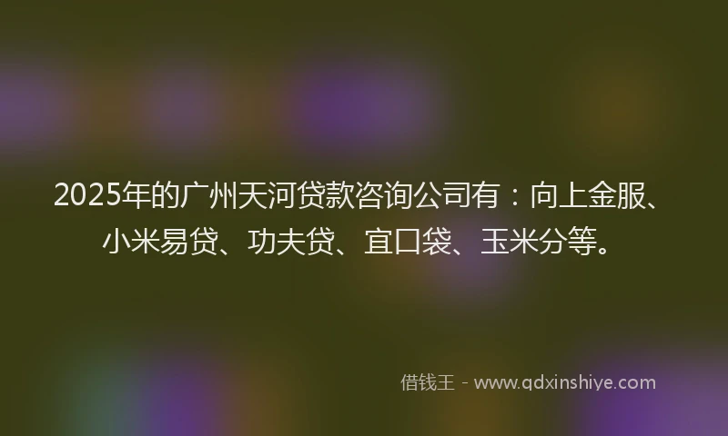 2025年的广州天河贷款咨询公司有：向上金服、小米易贷、功夫贷、宜口袋、玉米分等。