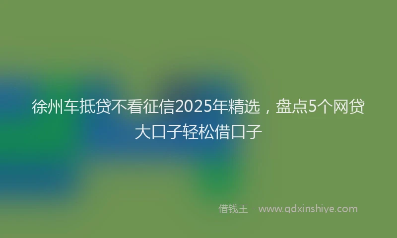 徐州车抵贷不看征信2025年精选，盘点5个网贷大口子轻松借口子