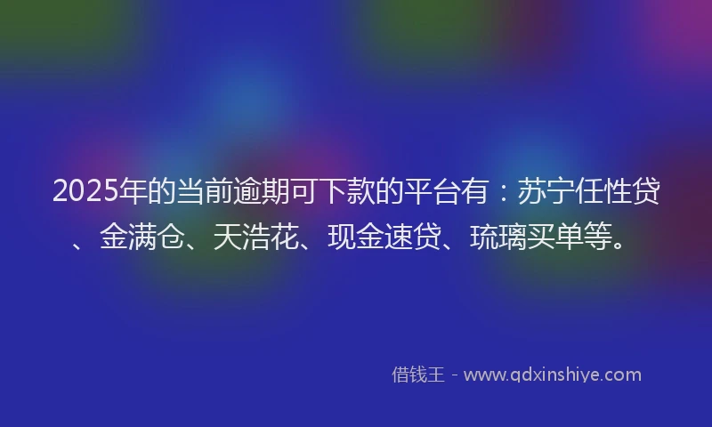 2025年的当前逾期可下款的平台有：苏宁任性贷、金满仓、天浩花、现金速贷、琉璃买单等。