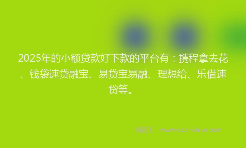2025年的小额贷款好下款的平台有：携程拿去花、钱袋速贷融宝、易贷宝易融、理想给、乐借速贷等。