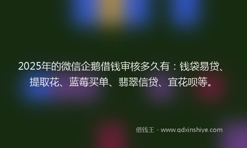 2025年的微信企鹅借钱审核多久有：钱袋易贷、提取花、蓝莓买单、翡翠信贷、宜花呗等。