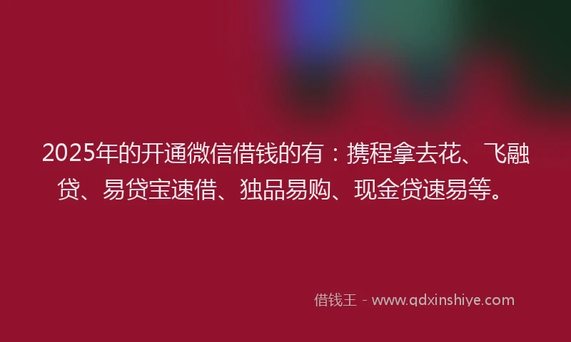 2025年的开通微信借钱的有：携程拿去花、飞融贷、易贷宝速借、独品易购、现金贷速易等。