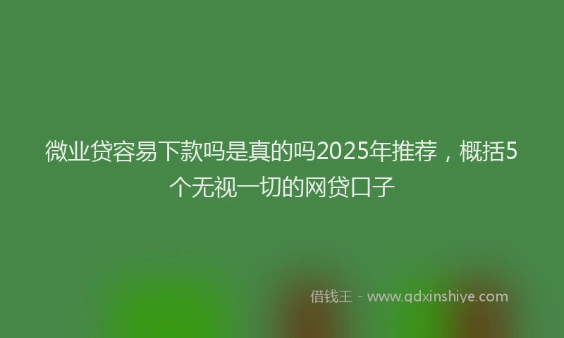 微业贷容易下款吗是真的吗2025年推荐，概括5个无视一切的网贷口子