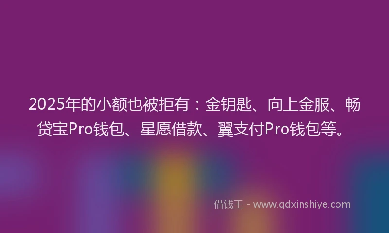 2025年的小额也被拒有：金钥匙、向上金服、畅贷宝Pro钱包、星愿借款、翼支付Pro钱包等。