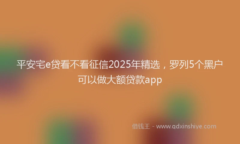 平安宅e贷看不看征信2025年精选，罗列5个黑户可以做大额贷款app