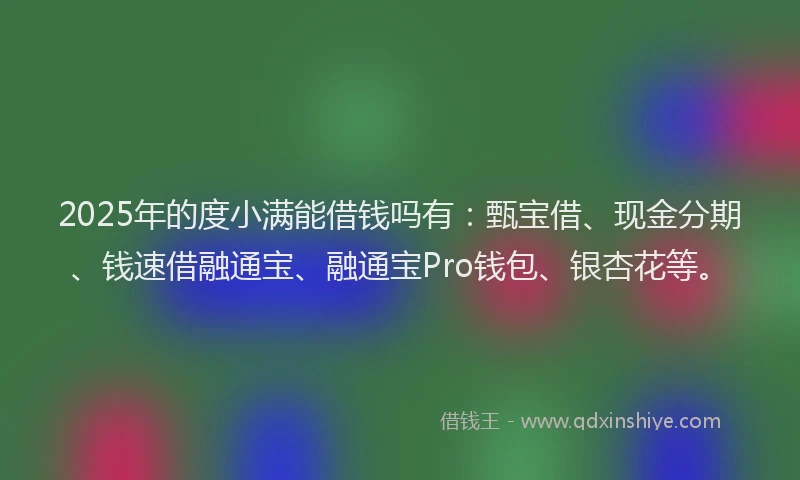 2025年的度小满能借钱吗有：甄宝借、现金分期、钱速借融通宝、融通宝Pro钱包、银杏花等。