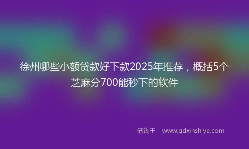 徐州哪些小额贷款好下款2025年推荐，概括5个芝麻分700能秒下的软件