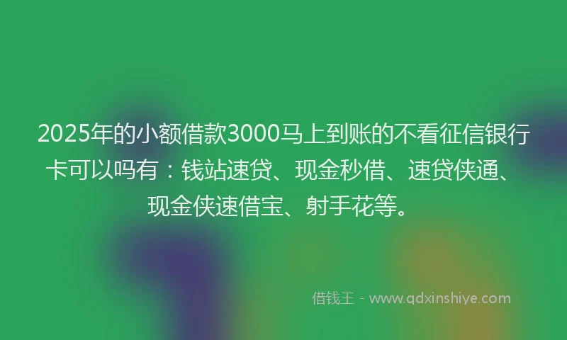 2025年的小额借款3000马上到账的不看征信银行卡可以吗有：钱站速贷、现金秒借、速贷侠通、现金侠速借宝、射手花等。
