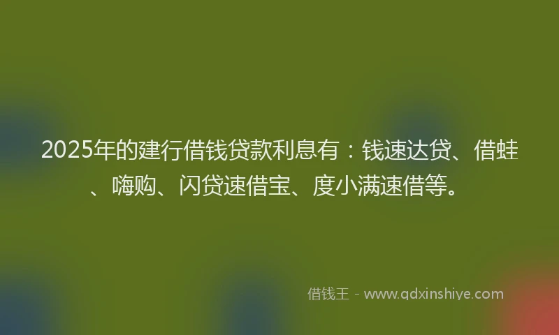2025年的建行借钱贷款利息有：钱速达贷、借蛙、嗨购、闪贷速借宝、度小满速借等。