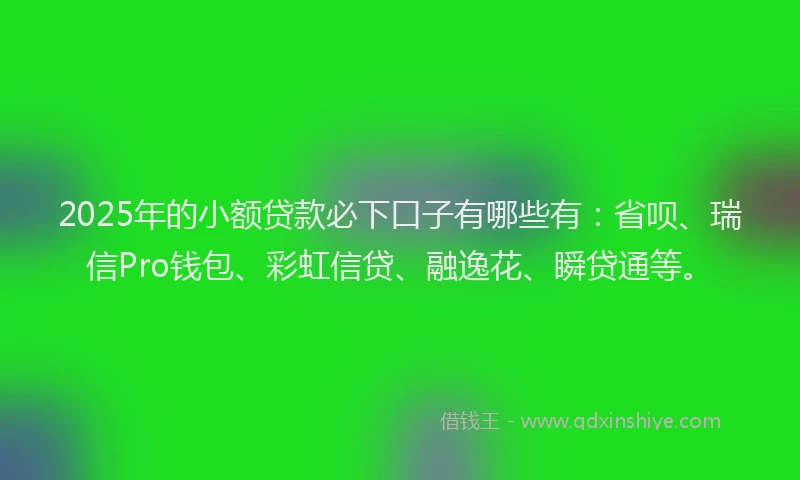 2025年的小额贷款必下口子有哪些有：省呗、瑞信Pro钱包、彩虹信贷、融逸花、瞬贷通等。