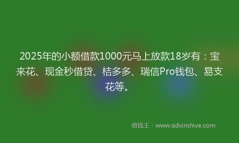 2025年的小额借款1000元马上放款18岁有：宝来花、现金秒借贷、桔多多、瑞信Pro钱包、易支花等。