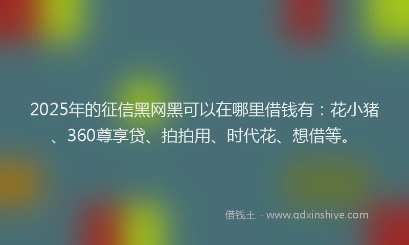 2025年的征信黑网黑可以在哪里借钱有：花小猪、360尊享贷、拍拍用、时代花、想借等。