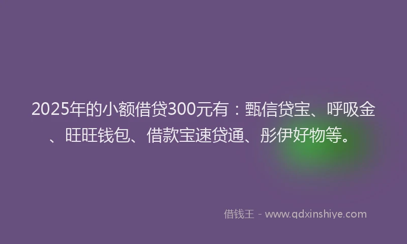 2025年的小额借贷300元有：甄信贷宝、呼吸金、旺旺钱包、借款宝速贷通、彤伊好物等。