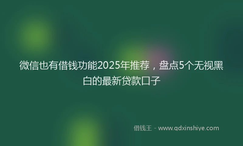 微信也有借钱功能2025年推荐，盘点5个无视黑白的最新贷款口子