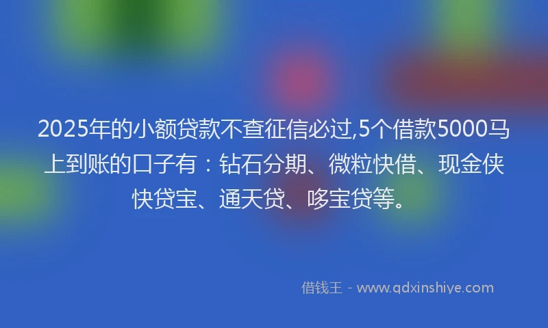 2025年的小额贷款不查征信必过,5个借款5000马上到账的口子有：钻石分期、微粒快借、现金侠快贷宝、通天贷、哆宝贷等。