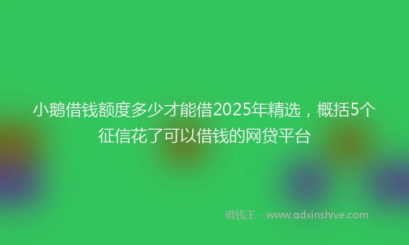 小鹅借钱额度多少才能借2025年精选，概括5个征信花了可以借钱的网贷平台