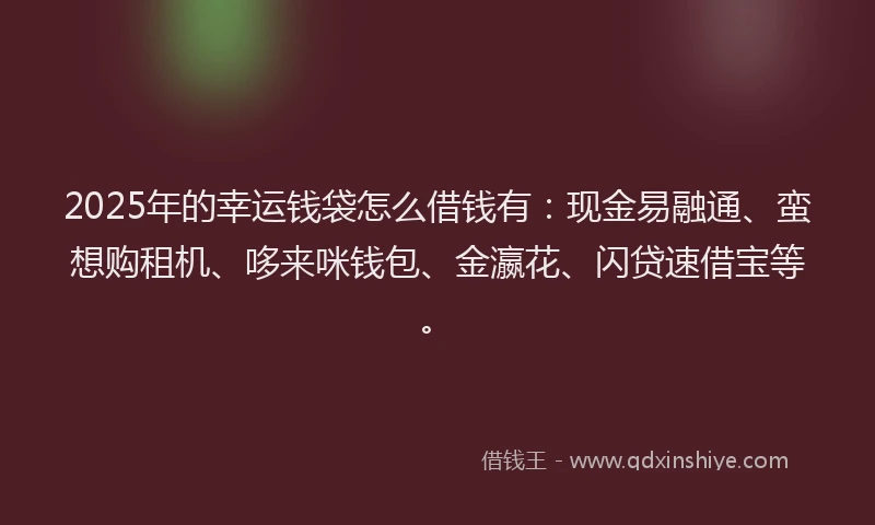 2025年的幸运钱袋怎么借钱有：现金易融通、蛮想购租机、哆来咪钱包、金瀛花、闪贷速借宝等。