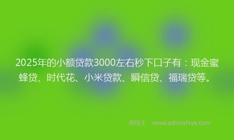 2025年的小额贷款3000左右秒下口子有：现金蜜蜂贷、时代花、小米贷款、瞬信贷、福瑞贷等。