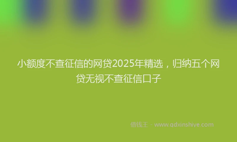 小额度不查征信的网贷2025年精选，归纳五个网贷无视不查征信口子