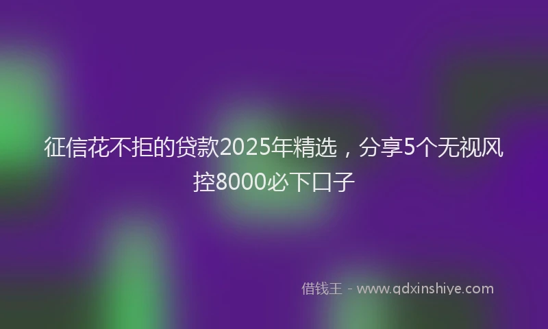 征信花不拒的贷款2025年精选，分享5个无视风控8000必下口子