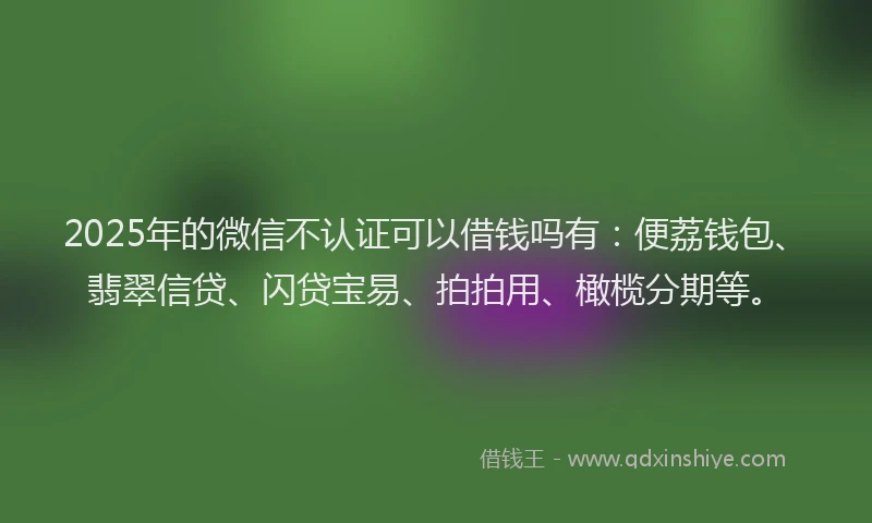2025年的微信不认证可以借钱吗有：便荔钱包、翡翠信贷、闪贷宝易、拍拍用、橄榄分期等。