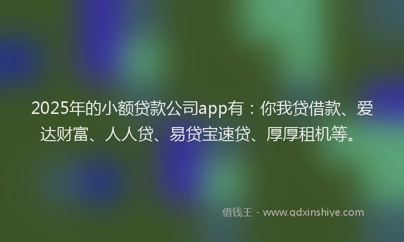 2025年的小额贷款公司app有：你我贷借款、爱达财富、人人贷、易贷宝速贷、厚厚租机等。