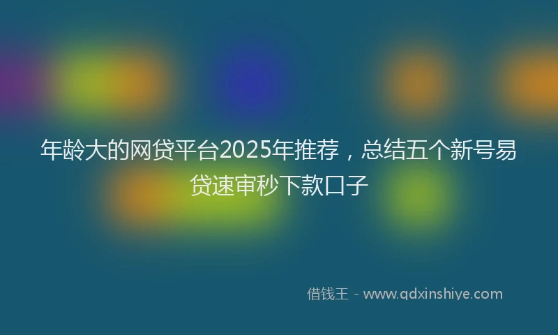 年龄大的网贷平台2025年推荐，总结五个新号易贷速审秒下款口子
