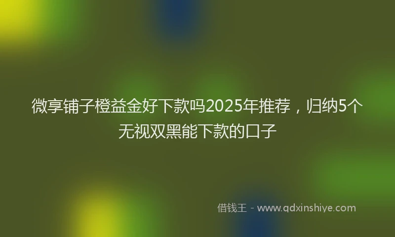 微享铺子橙益金好下款吗2025年推荐，归纳5个无视双黑能下款的口子