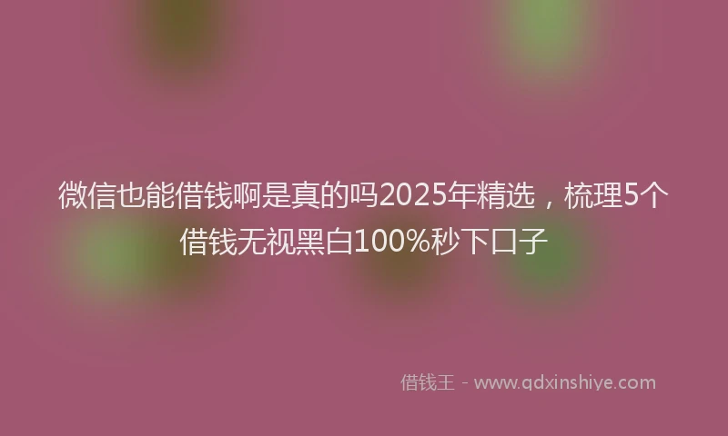 微信也能借钱啊是真的吗2025年精选，梳理5个借钱无视黑白100%秒下口子