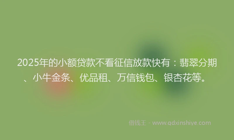 2025年的小额贷款不看征信放款快有：翡翠分期、小牛金条、优品租、万信钱包、银杏花等。