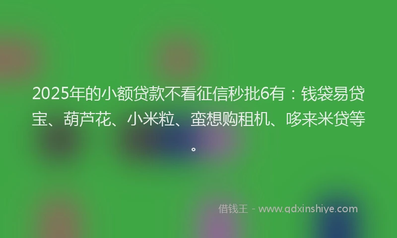 2025年的小额贷款不看征信秒批6有：钱袋易贷宝、葫芦花、小米粒、蛮想购租机、哆来米贷等。