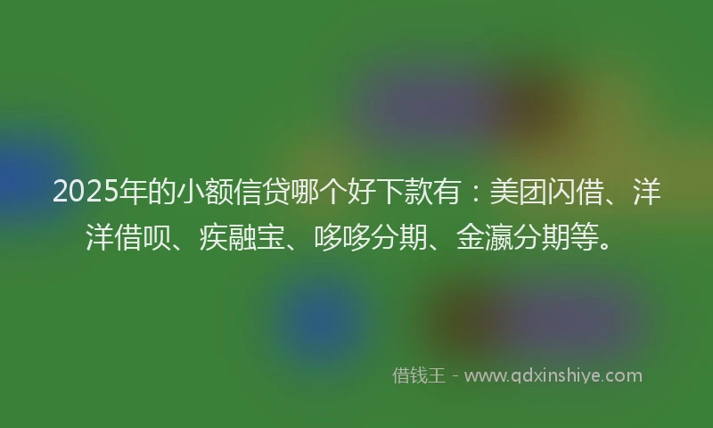 2025年的小额信贷哪个好下款有：美团闪借、洋洋借呗、疾融宝、哆哆分期、金瀛分期等。